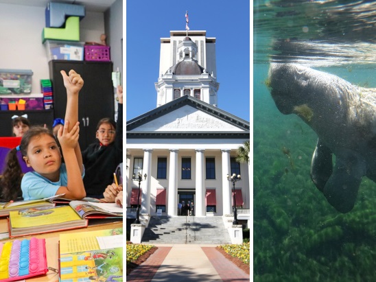 The Tampa Bay Times 'The Rundown' newsletter