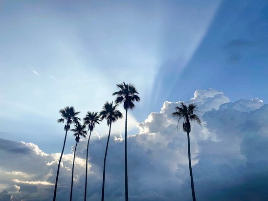 The Tampa Bay Times 'DayStarter' newsletter